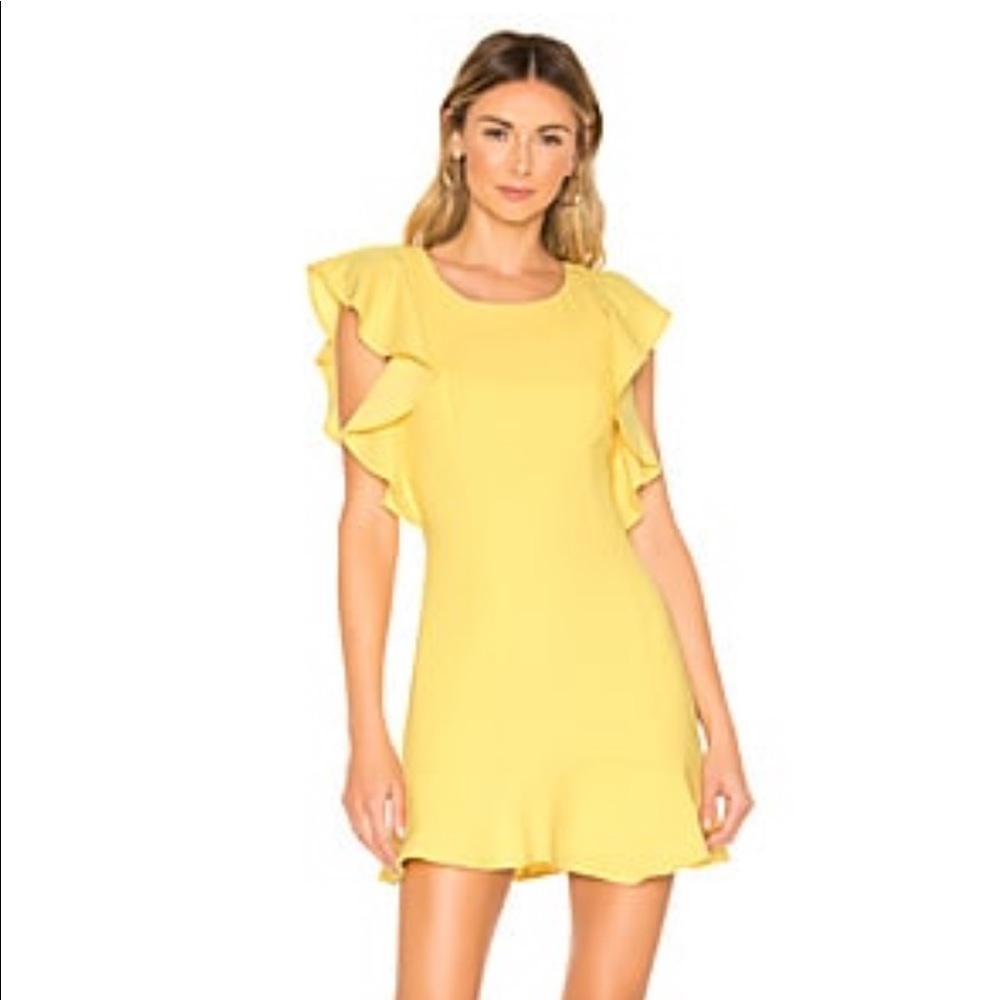 BCBG Mini Dress